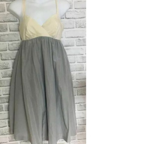 Alina Two Tone Silk Dress